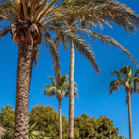 Bonito Apartamento Con Terraza, Jardin Y Piscina كالا ان بوسش المظهر الخارجي الصورة